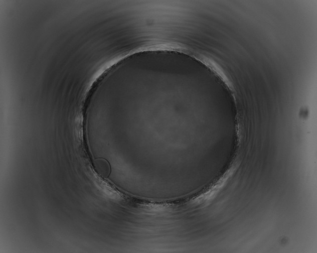 X0000101140781200807181254