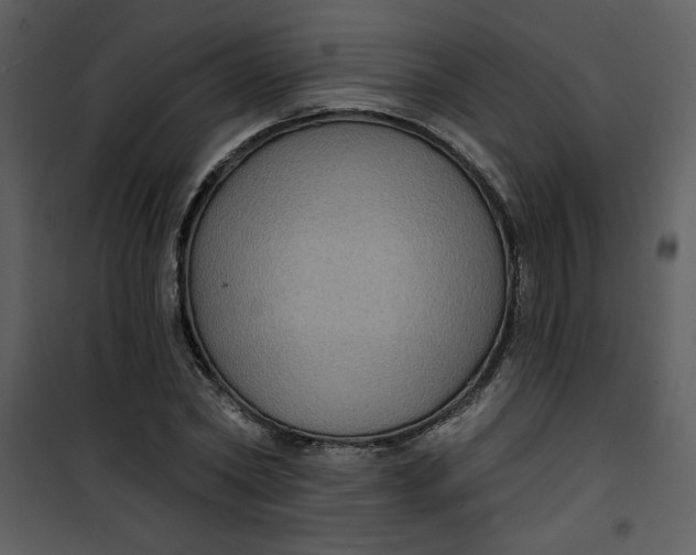 X0000101140782200807181254