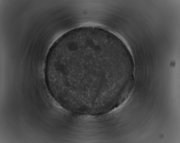 X0000101140783200807181254