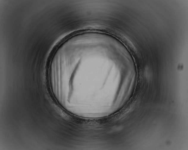 X0000101140784200807181254