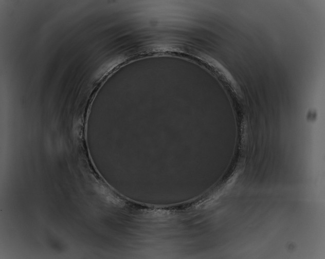 X0000101140785200807181254