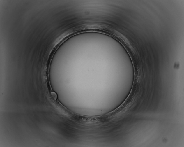 X0000101140786200807181254