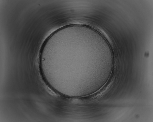 X0000101140787200807181254