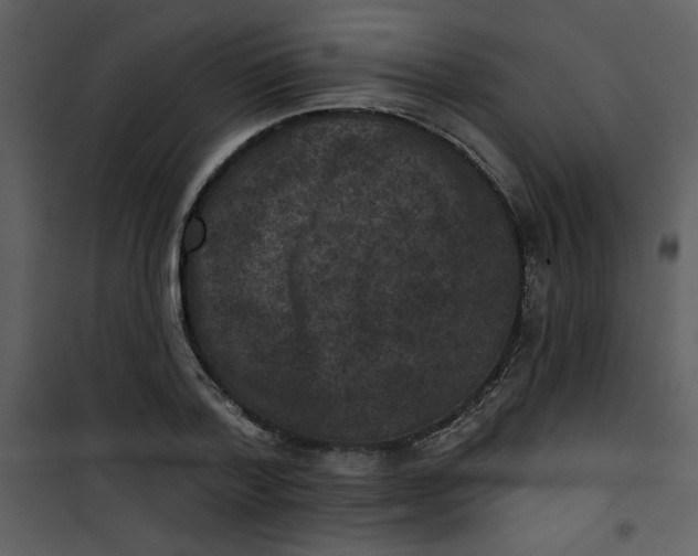 X0000101140788200807181254