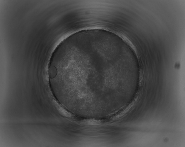 X0000101140789200807181254