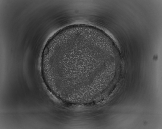 X0000101140791200807181254