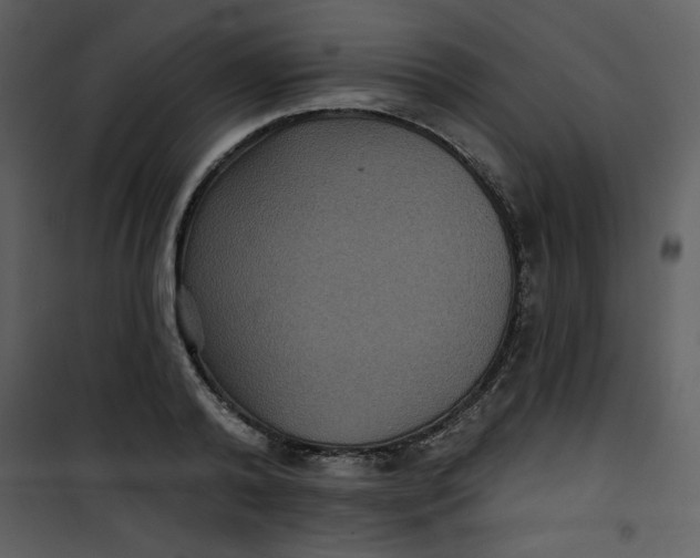 X0000101140792200807181254