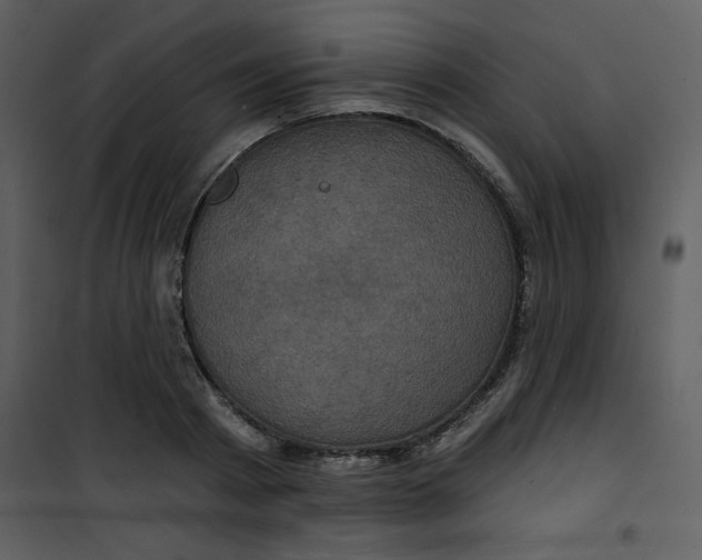 X0000101140793200807181254