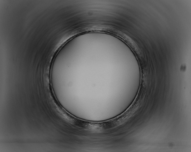 X0000101140794200807181254