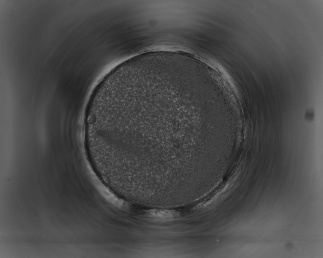 X0000101140795200807181254