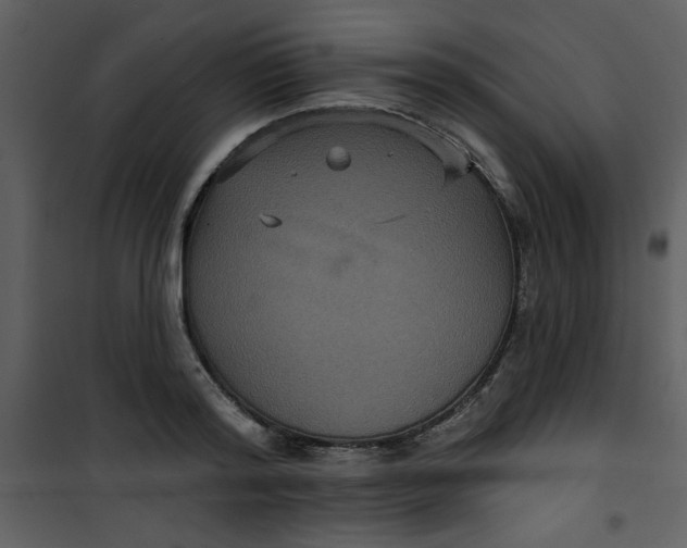 X0000101140796200807181254