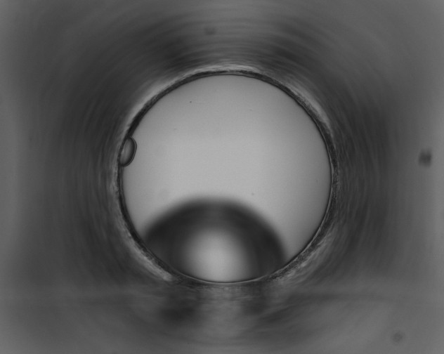 X0000101140797200807181253