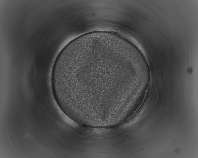 X0000101140803200807181253