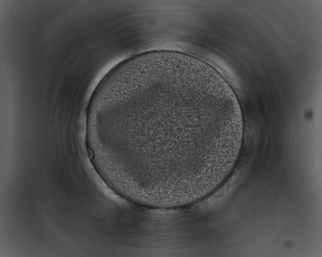 X0000101140804200807181253