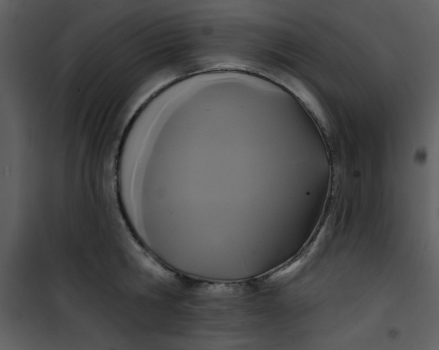 X0000101140806200807181253