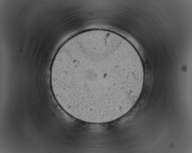 X0000101140807200807181253