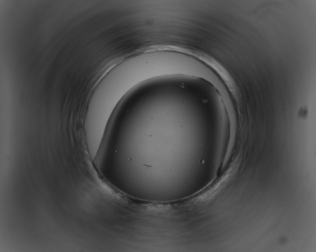 X0000101140809200807181253