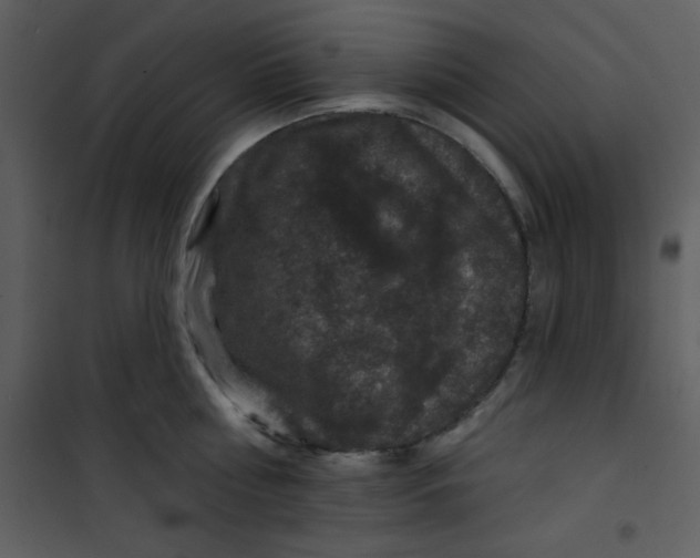 X0000101140810200807181253