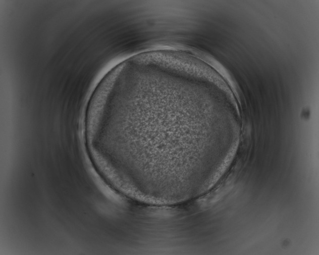 X0000101140811200807181253