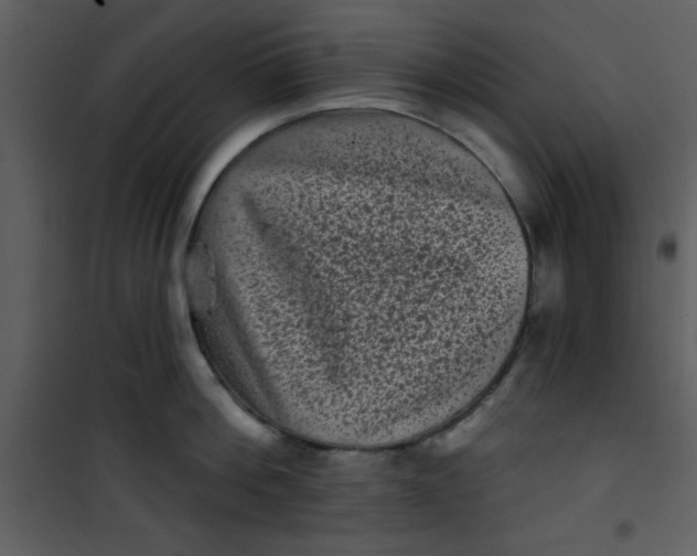 X0000101140812200807181253