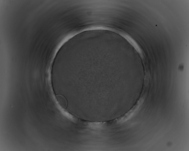 X0000101140813200807181253