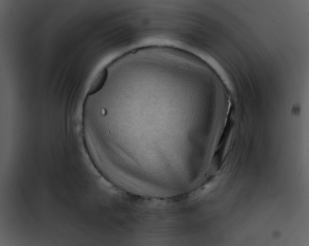 X0000101140815200807181253