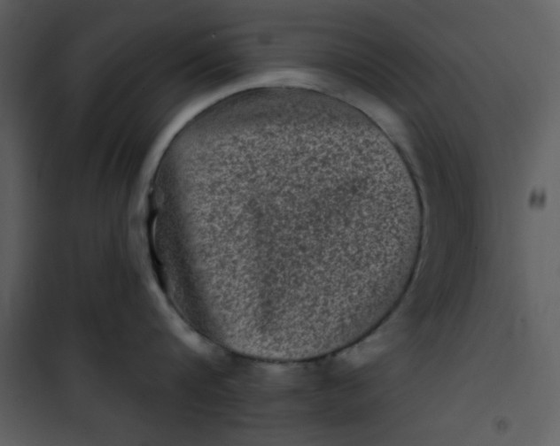 X0000101140816200807181253