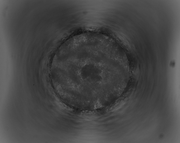 X0000101140817200807181252