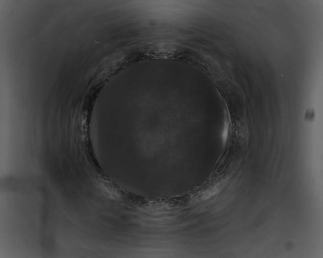 X0000101140818200807181252