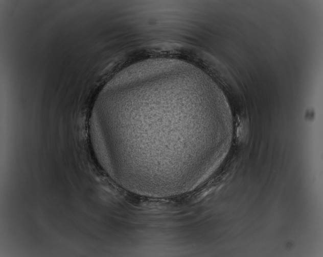 X0000101140819200807181252