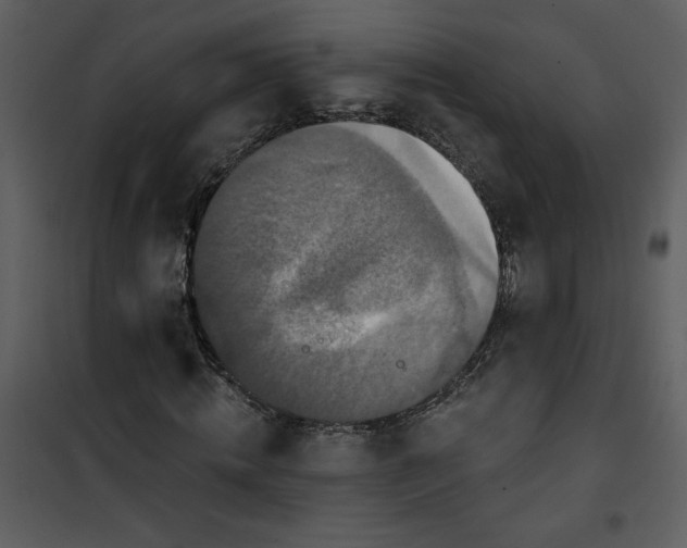 X0000101140820200807181252