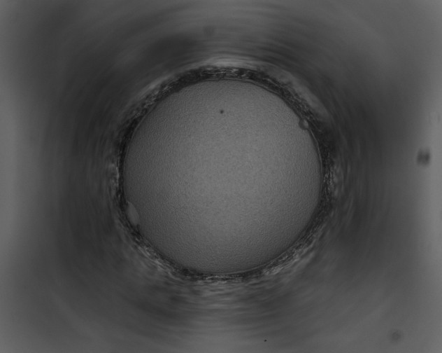 X0000101140821200807181252