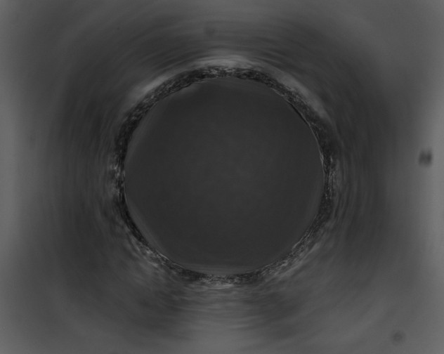 X0000101140822200807181252