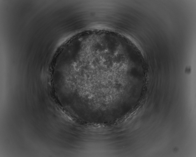 X0000101140823200807181252