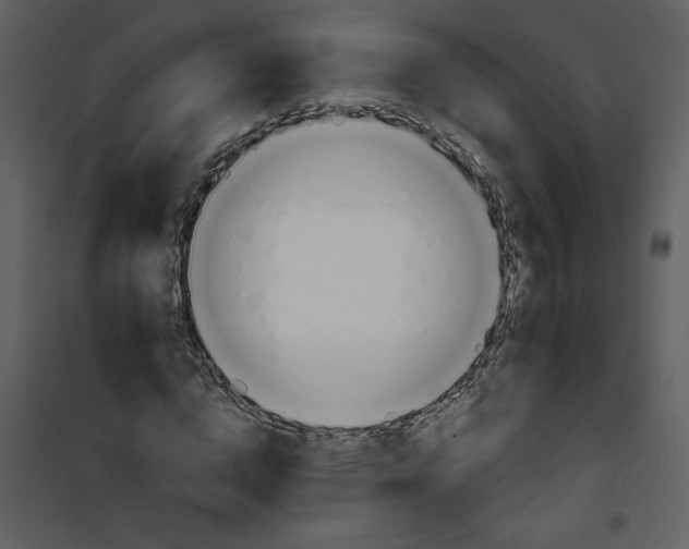 X0000101140824200807181252