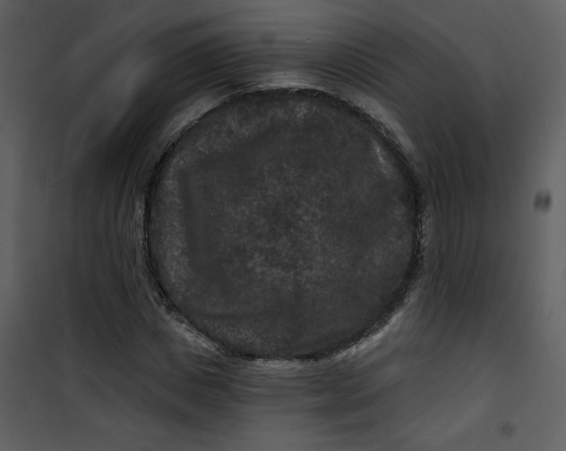 X0000101140825200807181252