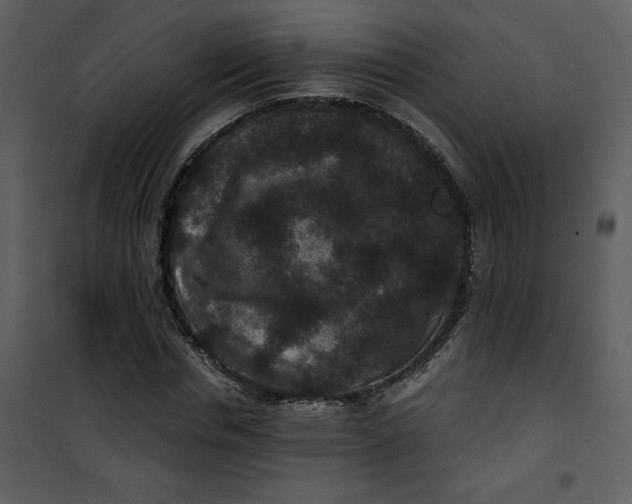 X0000101140826200807181253