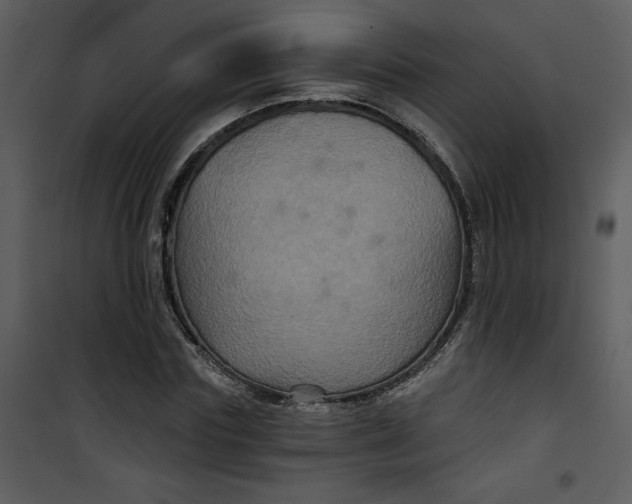 X0000101140827200807181253