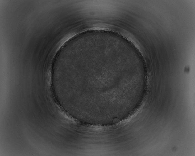 X0000101140829200807181253