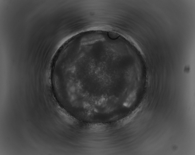 X0000101140830200807181253