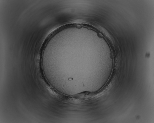 X0000101140831200807181253