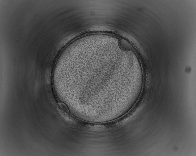 X0000101140833200807181253