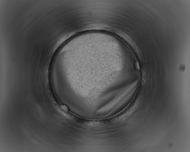 X0000101140834200807181253