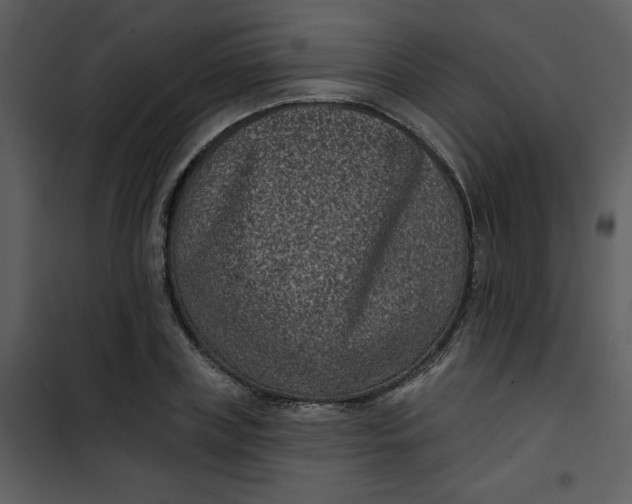 X0000101140835200807181253