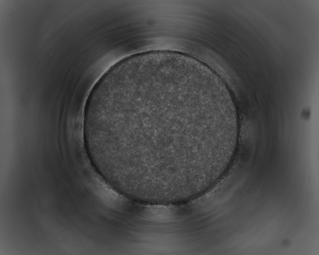 X0000101140836200807181253