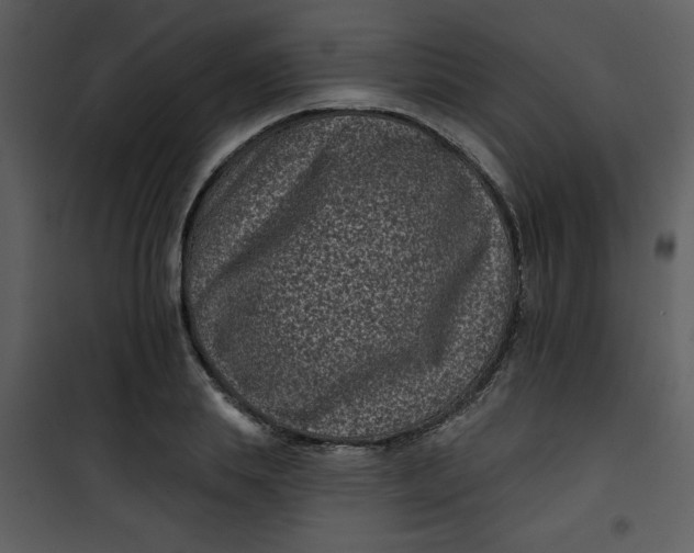 X0000101140839200807181253