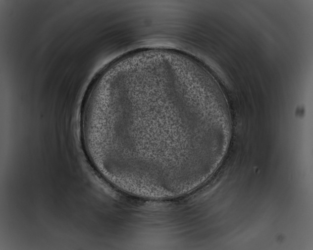 X0000101140840200807181253