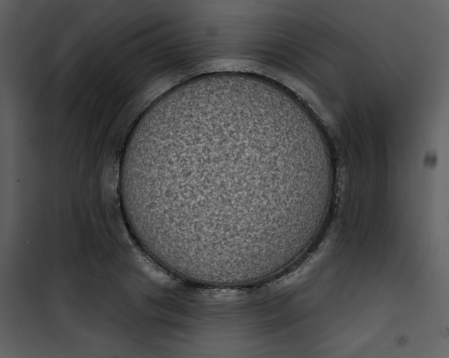 X0000101140841200807181253