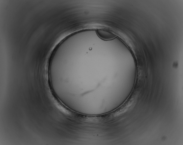 X0000101140843200807181253