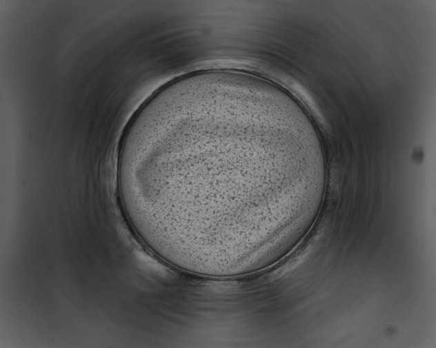 X0000101140844200807181253